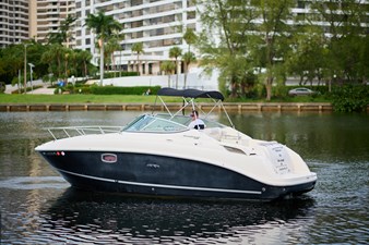 WELCOME TO THE JUNGLE 12 