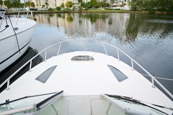 WELCOME TO THE JUNGLE 43 