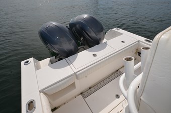 GEORGIA ANN 7 Fish Well