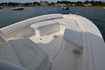 GEORGIA ANN 24 Forward Area