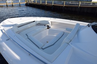 DIAMOND PEARL  11 Comfortable forward seating - canvas cover when not in use