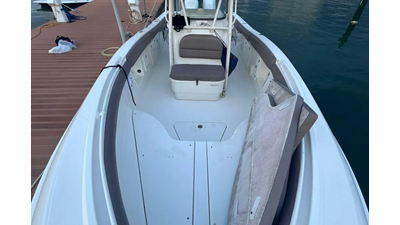 2010 Hydra-Sports 2900 VECTOR 1 