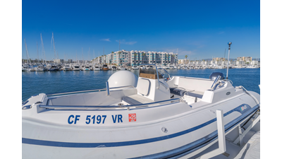 Active Octo 19 