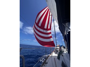UNICORN 42 Sailing