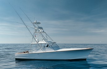 CORAL C 21 Profile