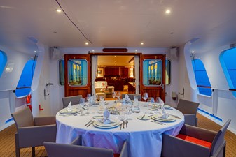 SEA LION 31 GS303737