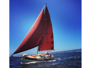 TARDIS 16 Sailing