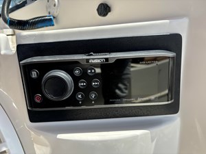 Fusion radio with Bluetooth