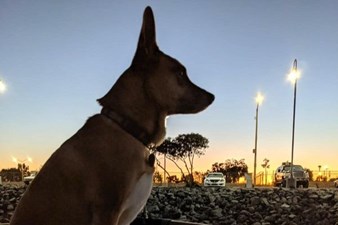 1990 Kha Shing Spindrift Cockpit OUR BLUE HEAVEN 66 