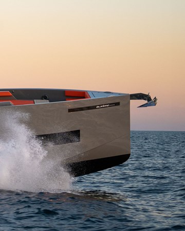 D50 COUPE gris _ proa POST 7_1