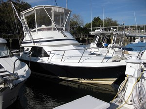 29' Blackfin 1988 Sport Combi 9 