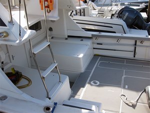 29' Blackfin 1988 Sport Combi 17 