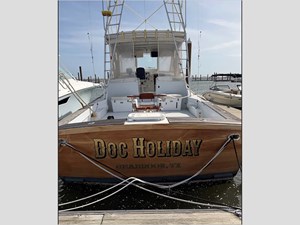 48' Mockingbird 2001 Custom  7 