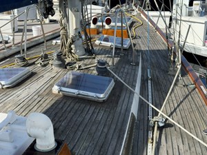 ZYKANTHOS 50 Cabin top
