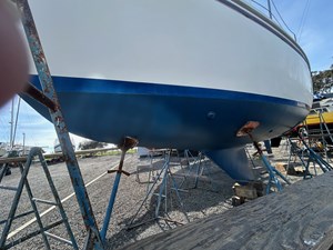 Cadence 12 New paint