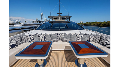 ARTEMIS 55 