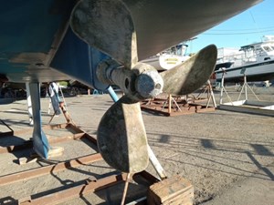 PACIFICO 53 Prop
