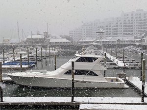 65' Viking 2000 Convertible 2 