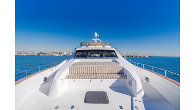 Money Cat 28 