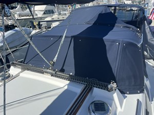 LIBERTY 30 Dodger and bimini