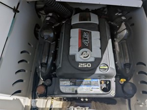 23' Sea Ray 2019 230 SPX 16 