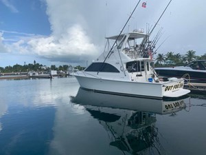 42 ft 1995 Ocean Yachts 42 sportsfish 0 