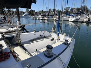 WILLIWAW 6 Cockpit