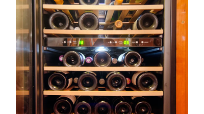 2010 Privilege 745 20 