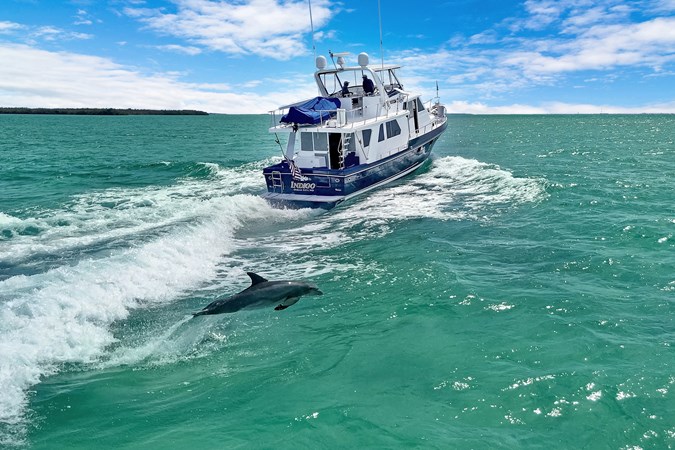 Running Profile 7 with leaping Dolphin