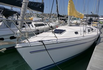 THE BAYGULL II 0 31' Catalina 310 THE BAYGULL II