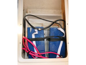 THE BAYGULL II 44 Lithium Batteries