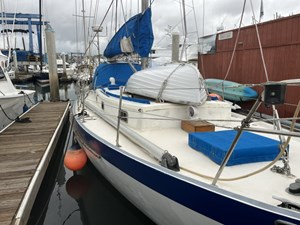 AUDREY LANE 24 Deck