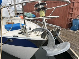 AUDREY LANE 37 Bow