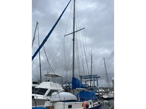 AUDREY LANE 39 Rig