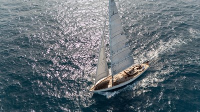 SPIRIT OF RANI 7 