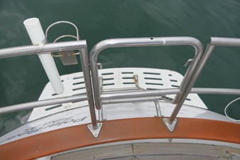 POLAR BEAR 46 Swim Step