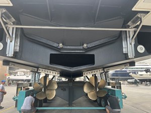 WHITE SWAN 22 