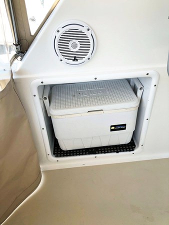 Cooler Insert