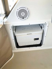 Cooler Insert