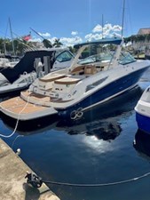 Sea Ray SLX 300 3 