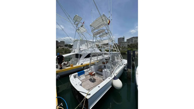 2001 Predator 35 Express 1 