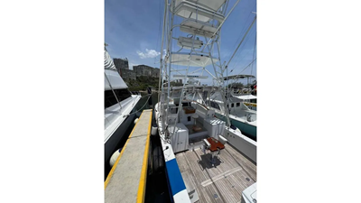 2001 Predator 35 Express 4 