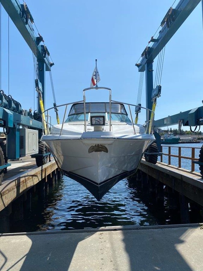 Haul Out Bow View