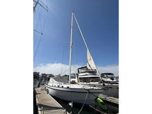PACIFICA 50 Pacifica
