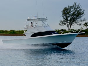 Reel Steel  2 