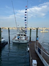 Reel Steel  7 IMG_1677