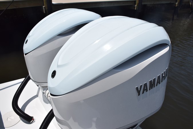 Custom painted cowlings