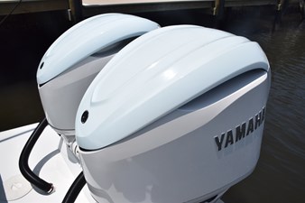 Custom painted cowlings