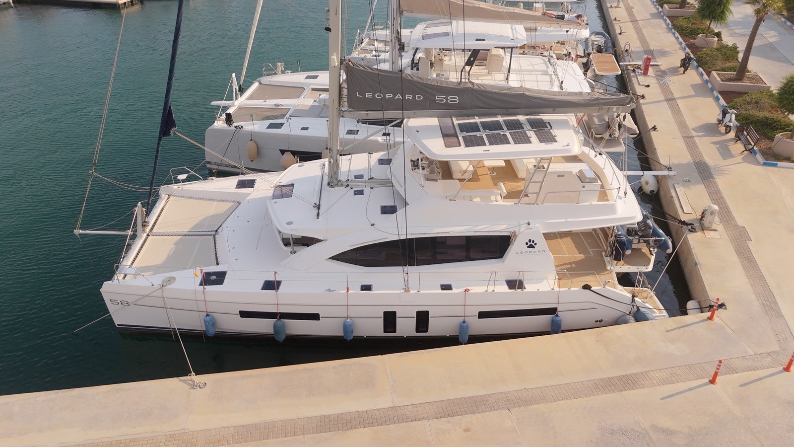 Leopard 58