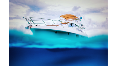 BELLE 31 
